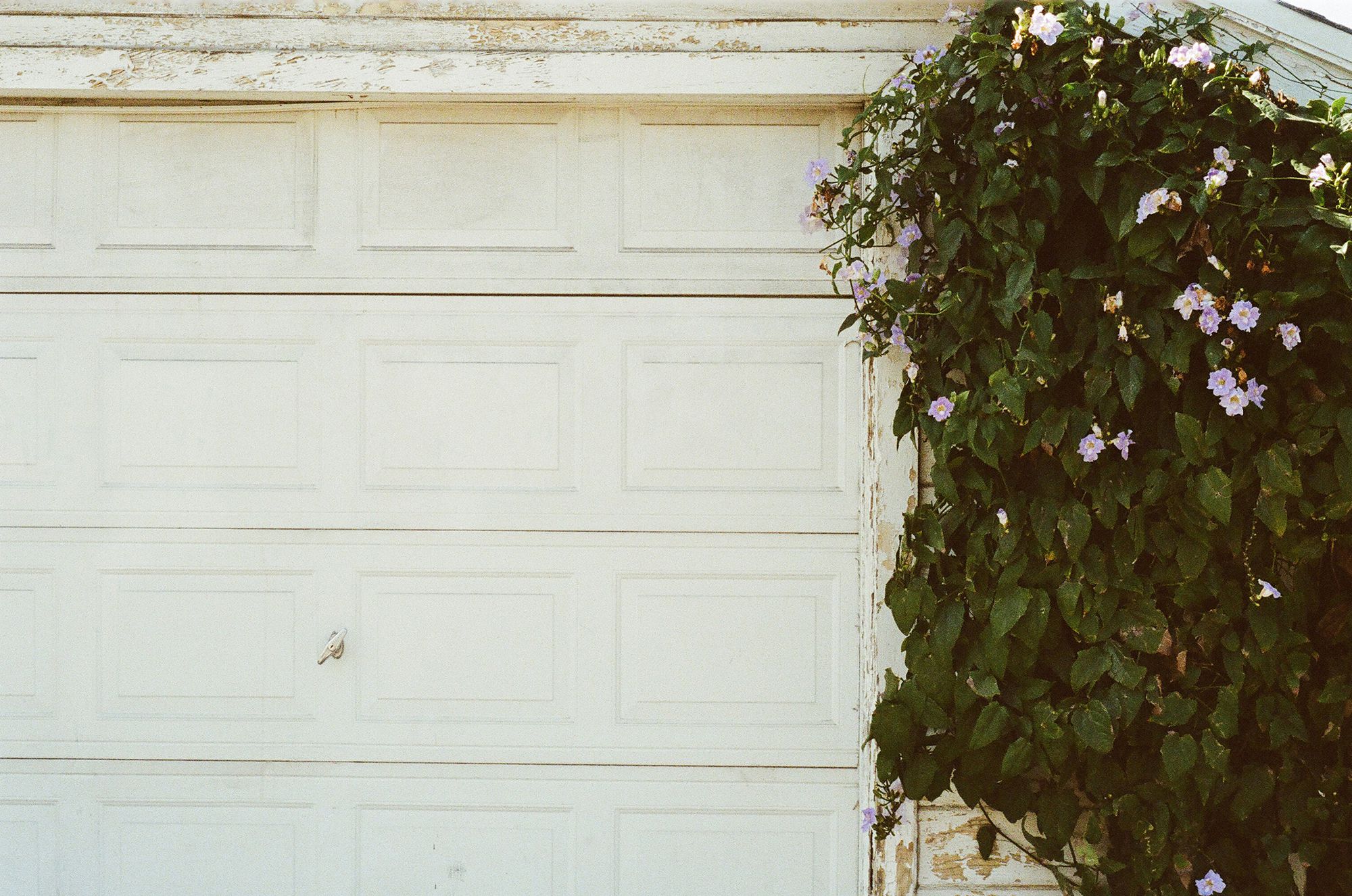 Replacing Trim Around Garage Door Great Home Design