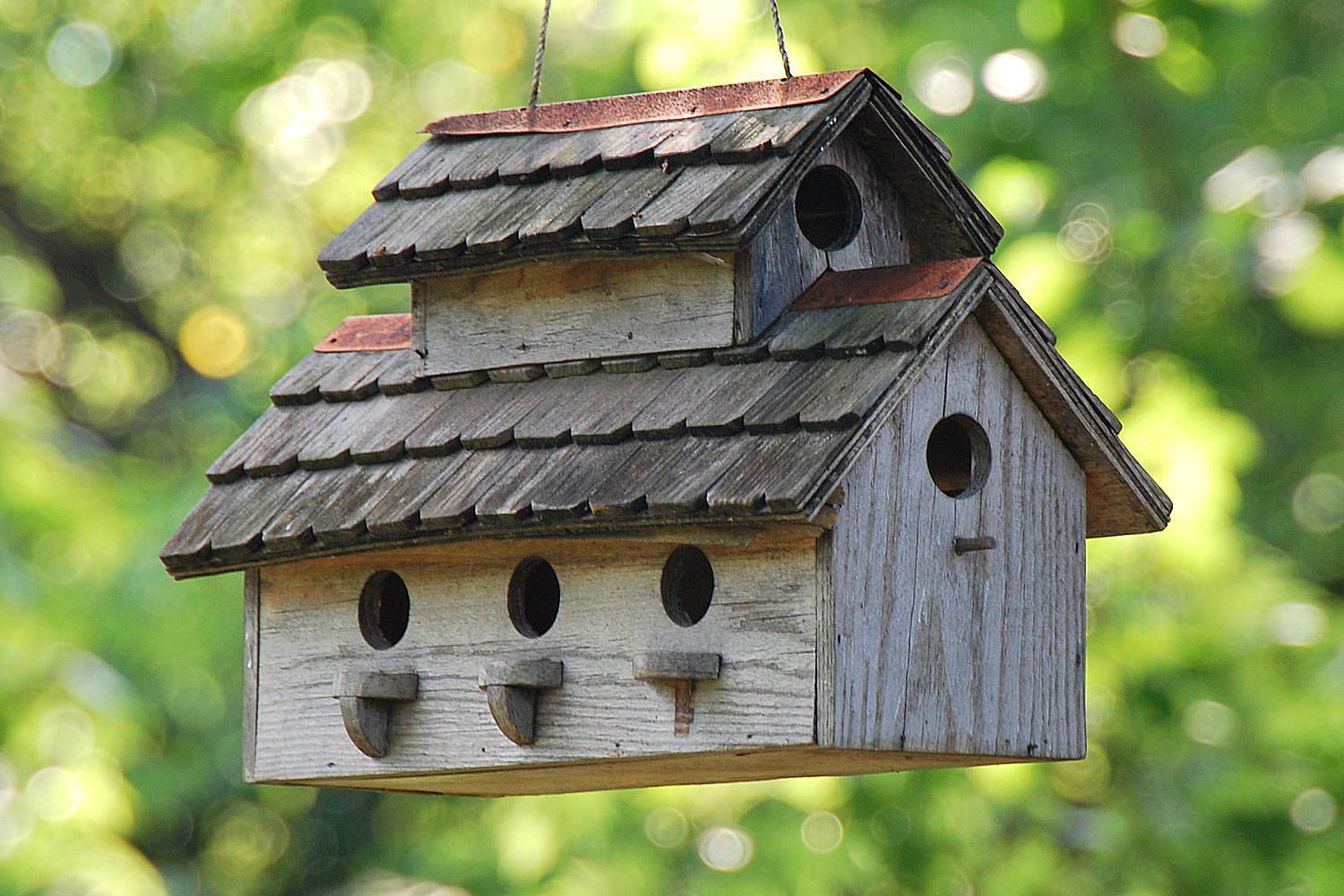 Different Bird Houses To Build