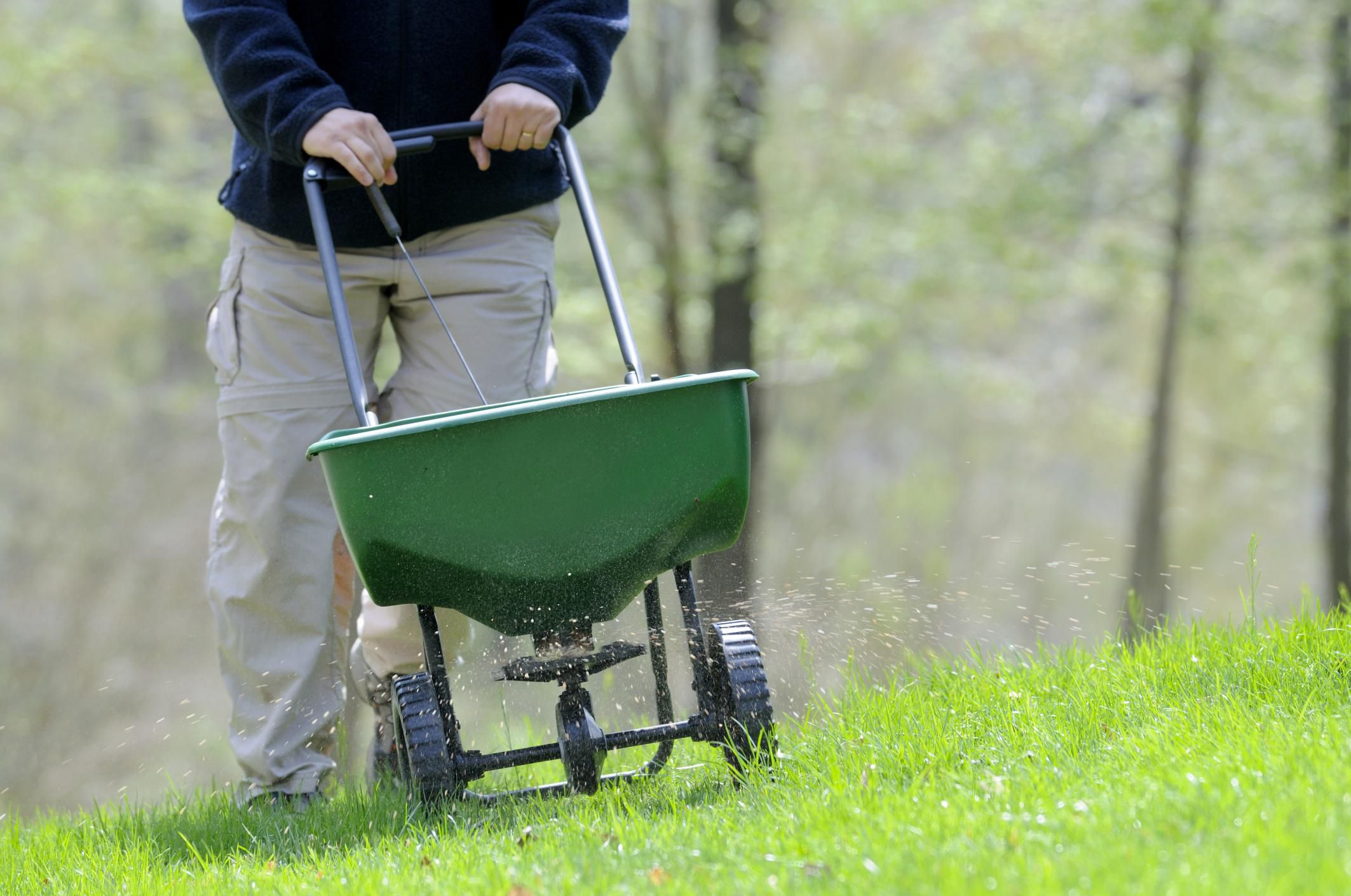 When to Fertilize the Lawn in Spring