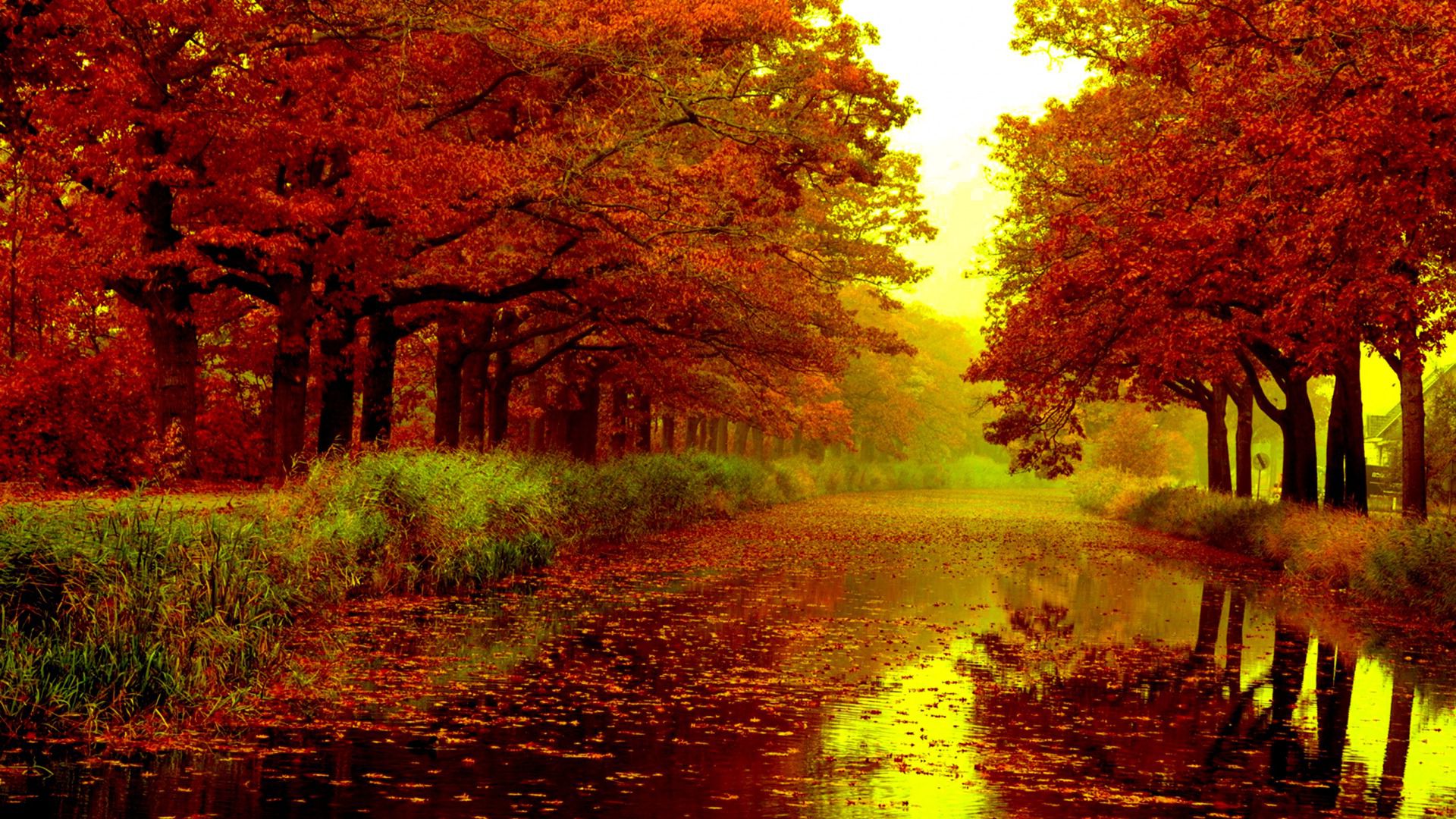 39 Autumn Wallpapers For Computers Tablets Or Phones