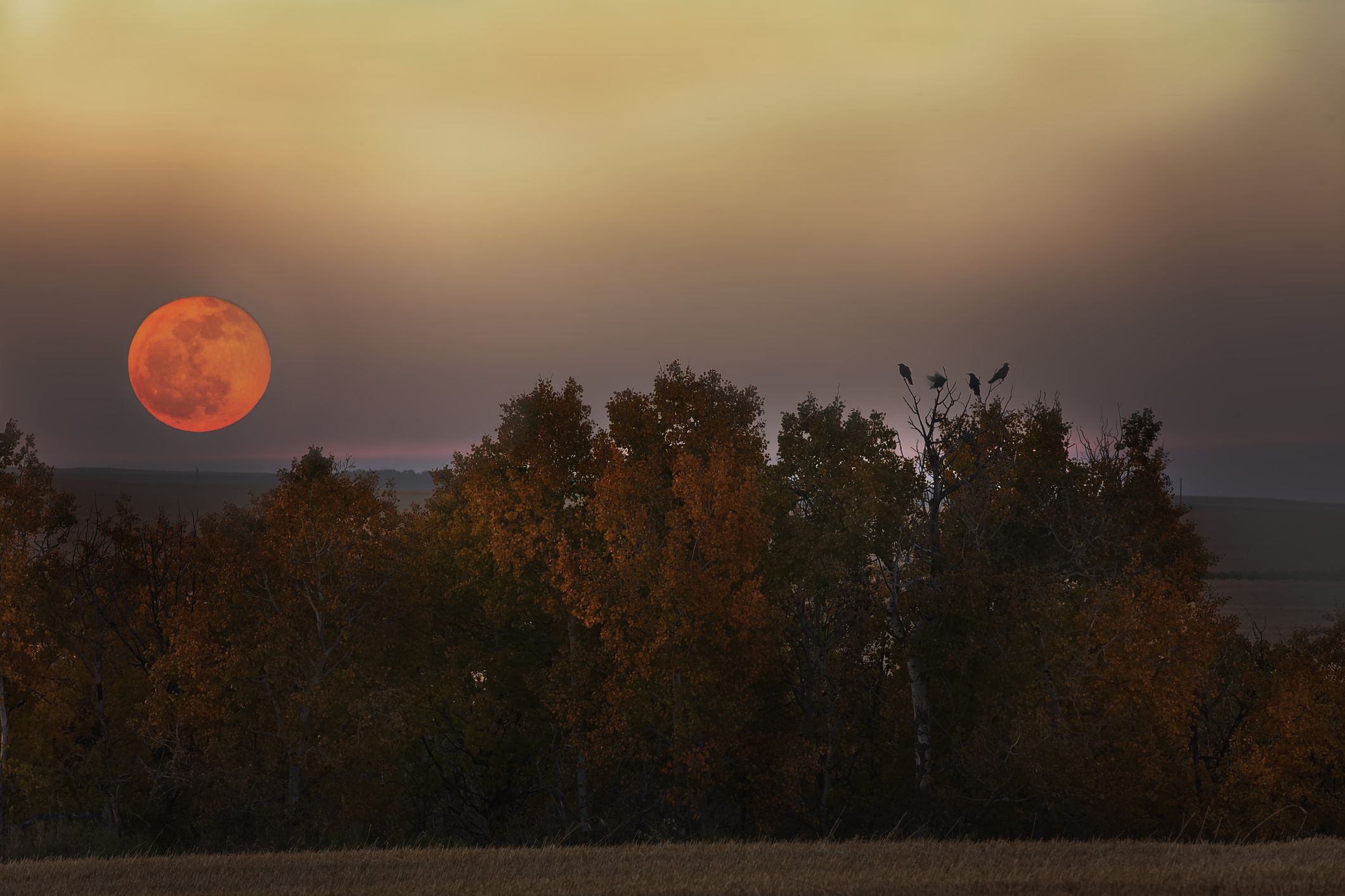 11 Things to Know About This Years Harvest Moon