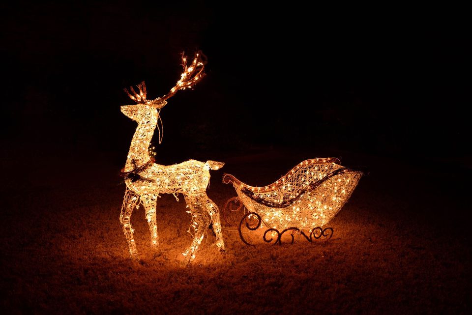 Pictures of Outdoor Christmas Lights to Inspire