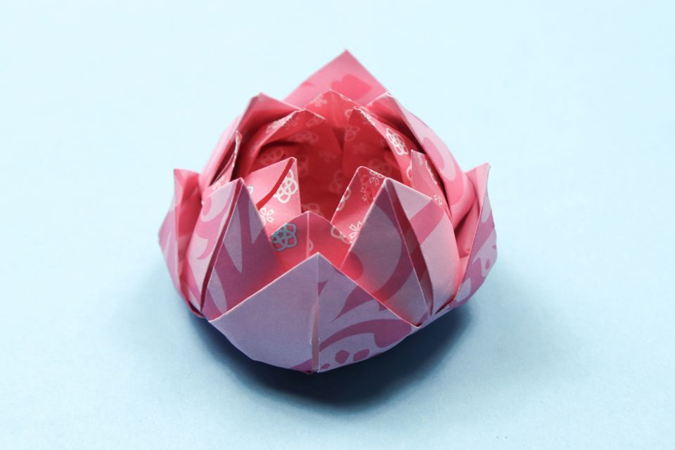 Origami Lotus