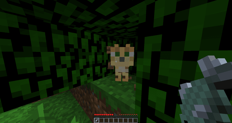 Minecraft Biomes Explained: Jungle Biome!