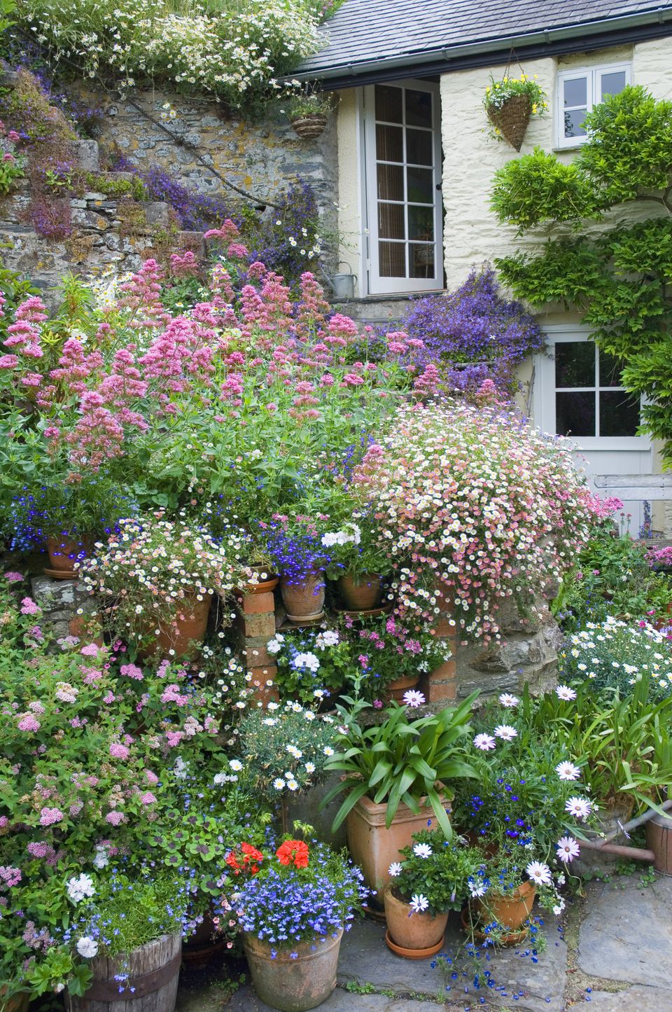 12 Ideas for Flowering Container Gardens