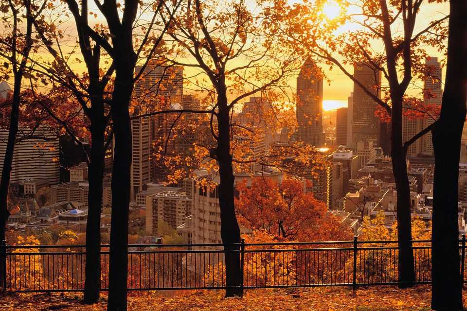 9 Montreal Fall Foliage Destinations You Have to See