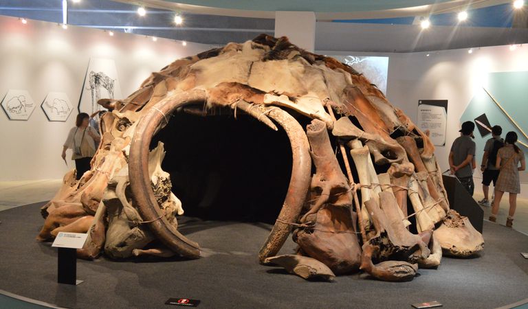 An ancient hut built out of Woolly Mammoth bones