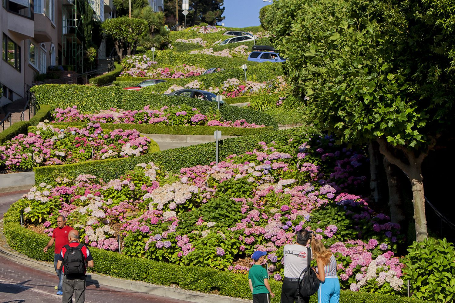 How to Visit Lombard Street the Right Way