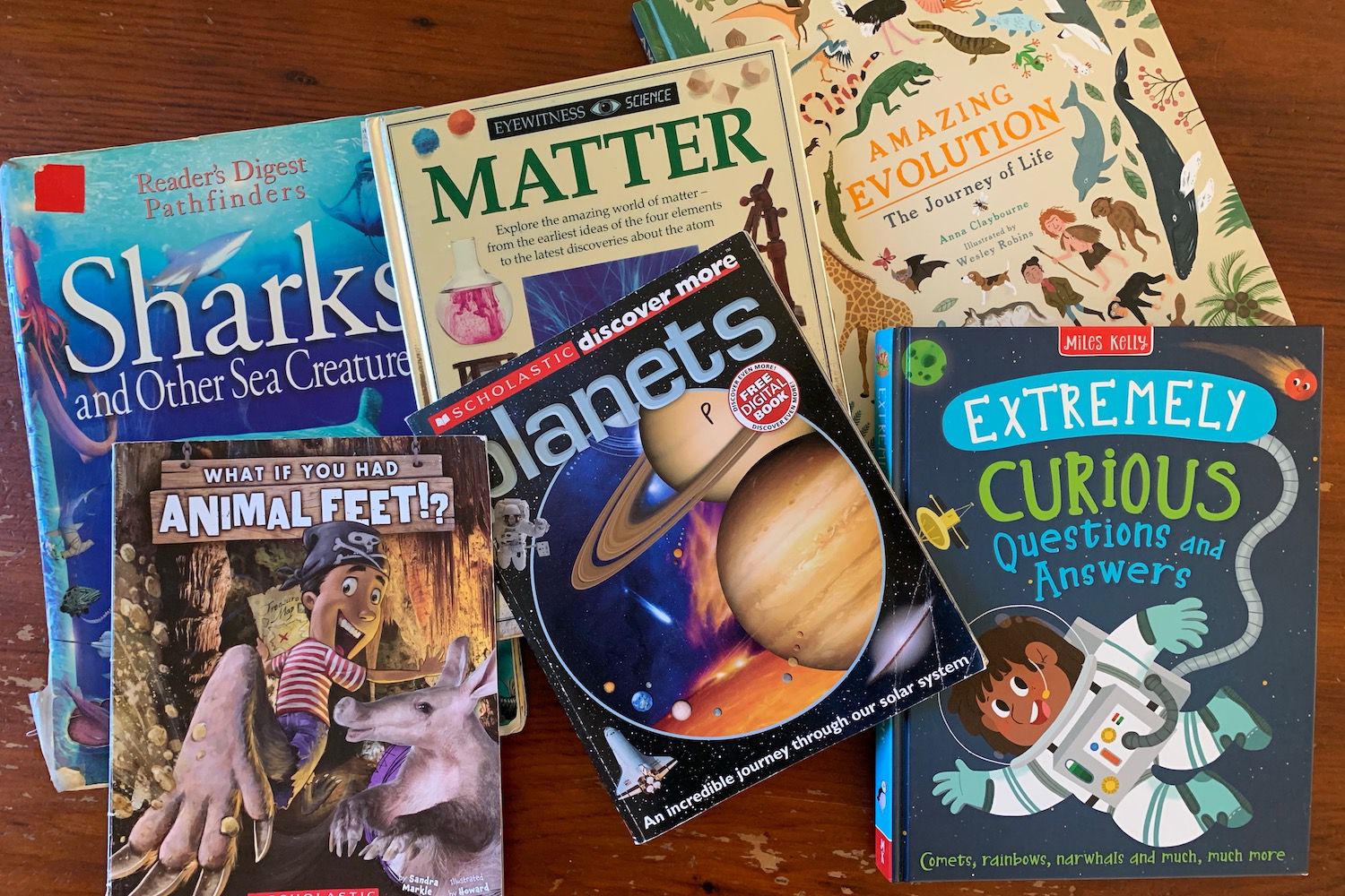 Surround Your Children With Non-Fiction Books