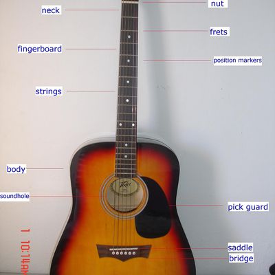 Parts of the Bass Guitar - Overview base guitar diagram 