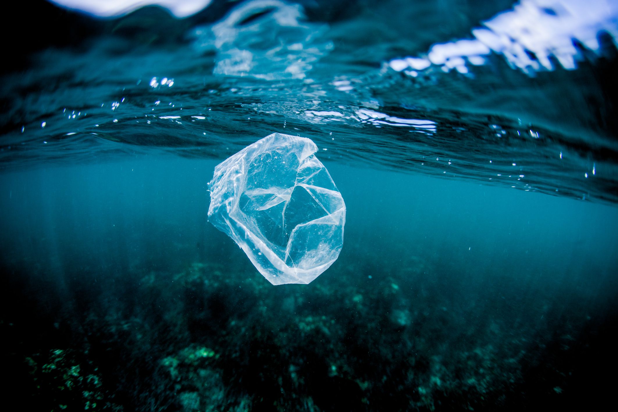 Why Should I Stop Using Plastic Bags?