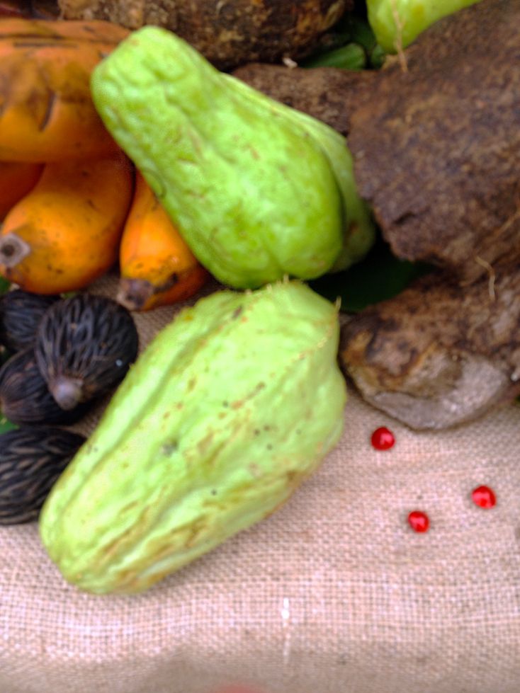 Introduction to Jamaican Fruits, Vegetables and Spices