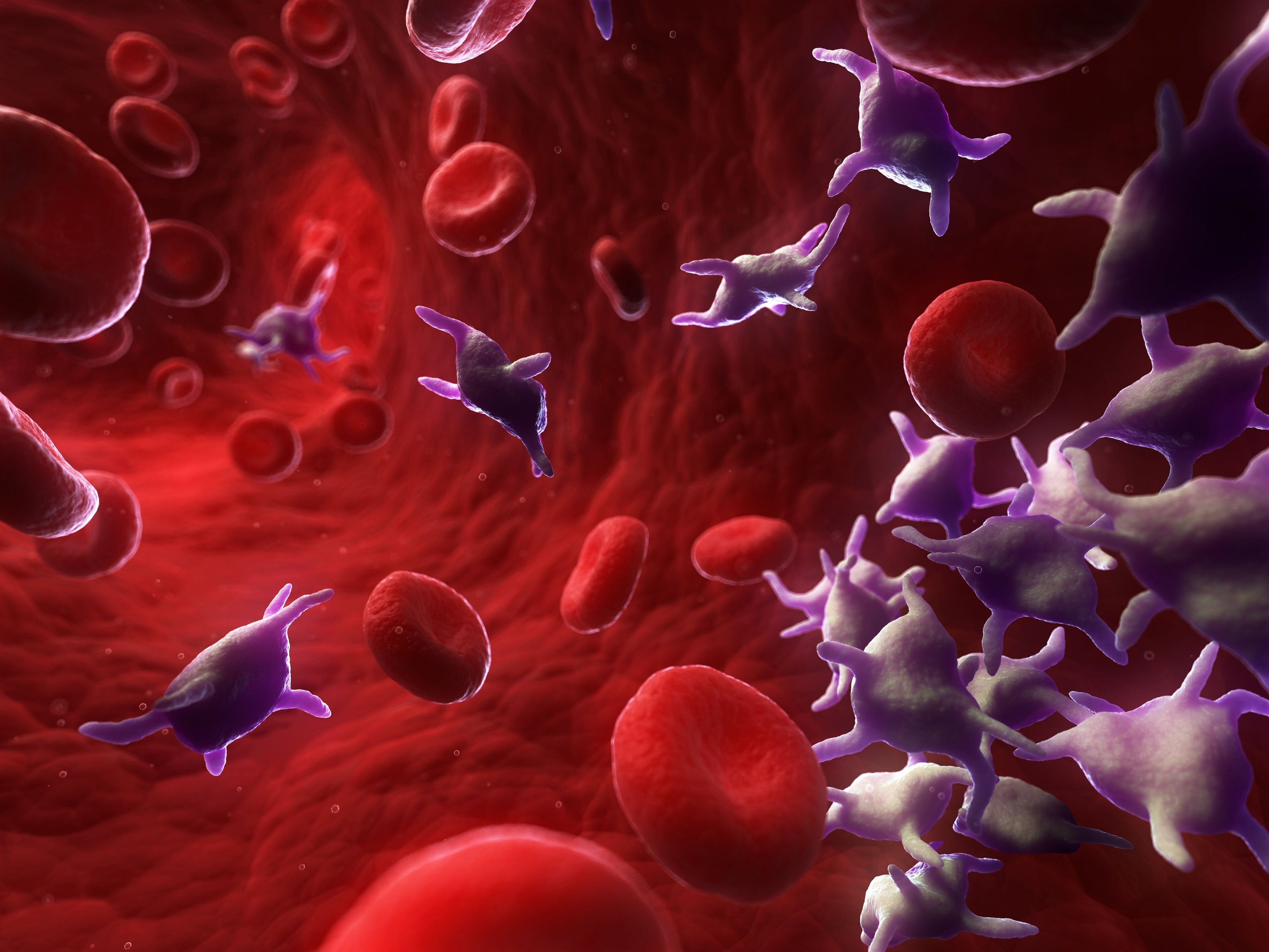 Low Platelet Count And High Crp