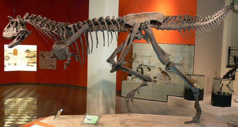 10 Facts About Carnotaurus