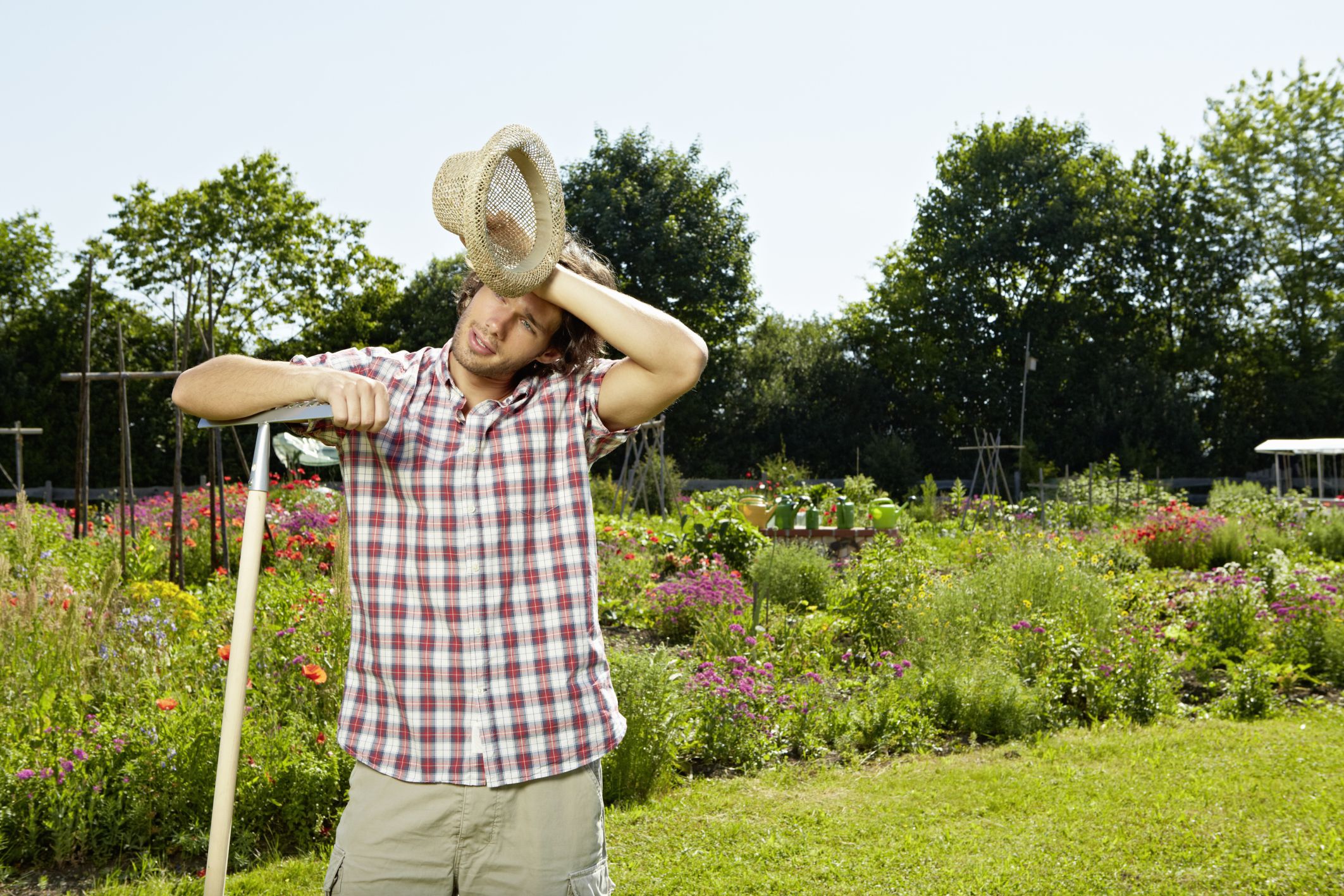 high-humidity-and-heat-make-for-muggy-weather