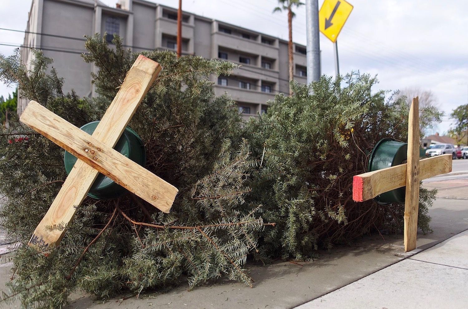 7 Ways to Dispose of an Old Christmas Tree