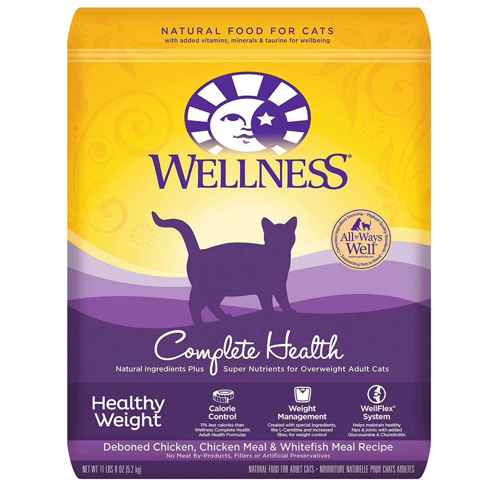 Top 6 Weight Control Foods for Cats