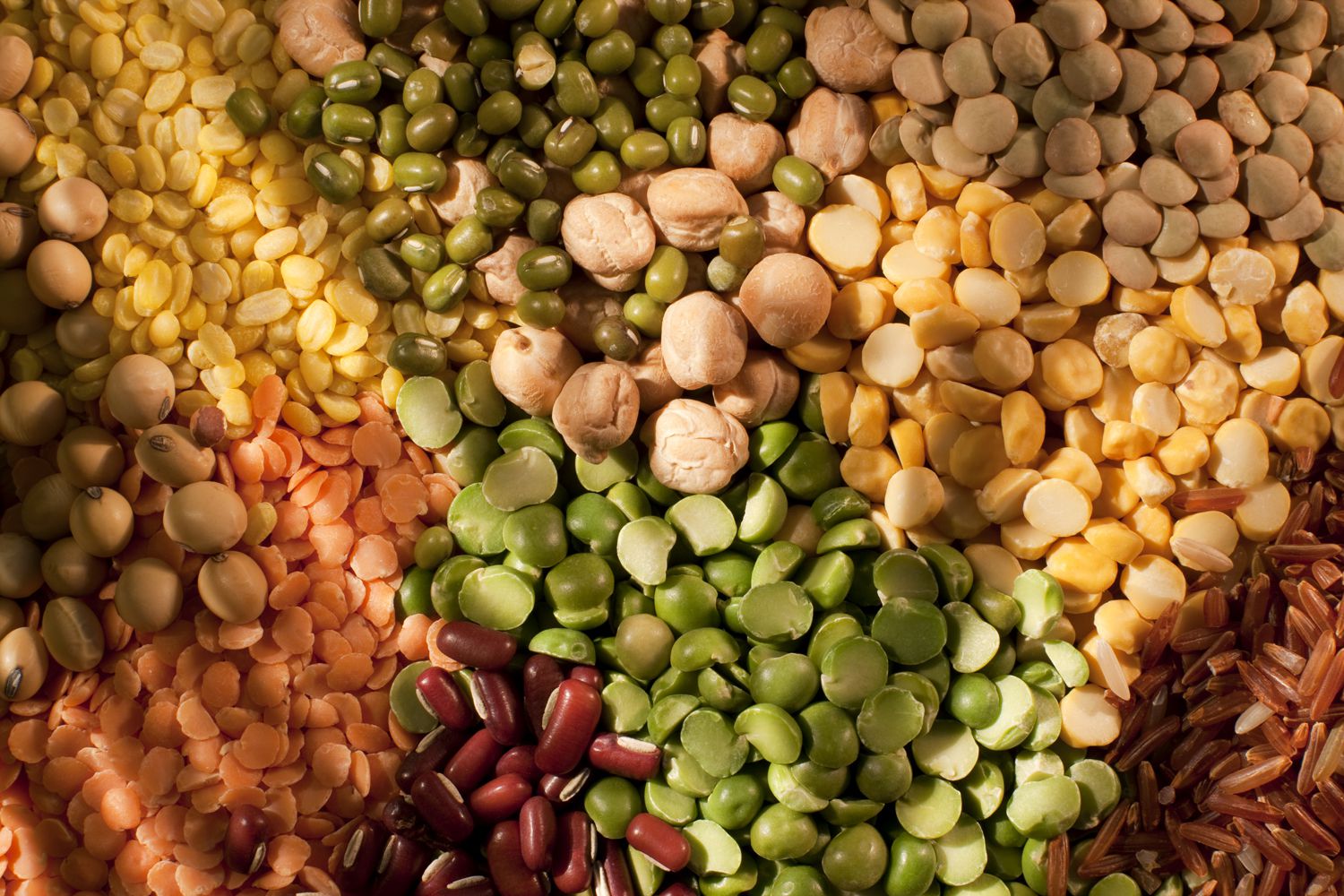 low-carb-diets-beans-and-other-nutritious-legumes