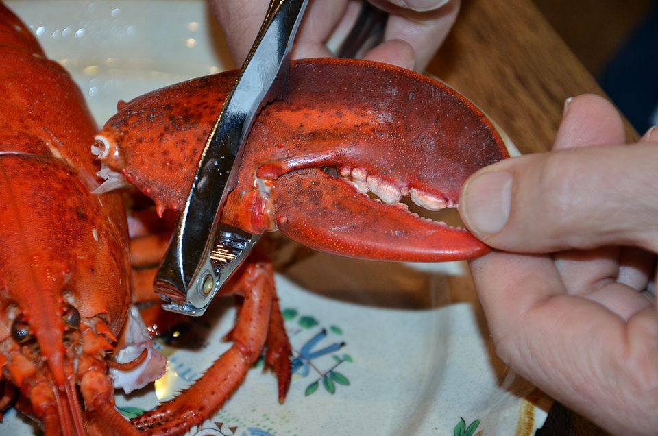 How to Eat Lobster Like a New Englander