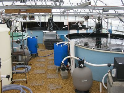 Discover the Benefits of Aquaculture