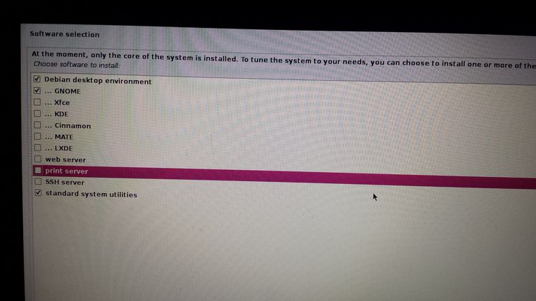 Debian Installation Failed Select And Install Software