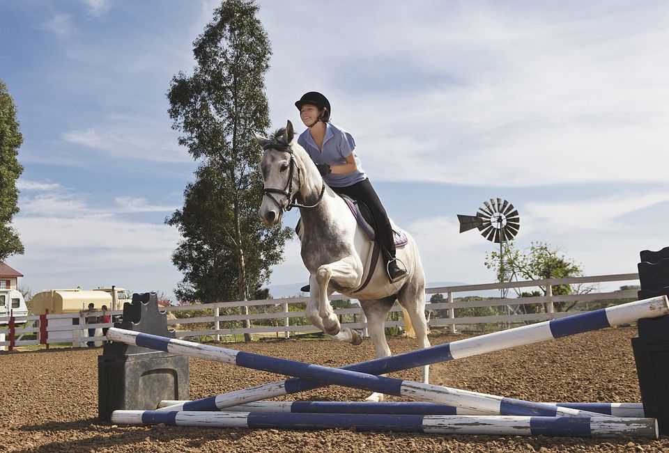 Common Types of Equestrian Show Jumps