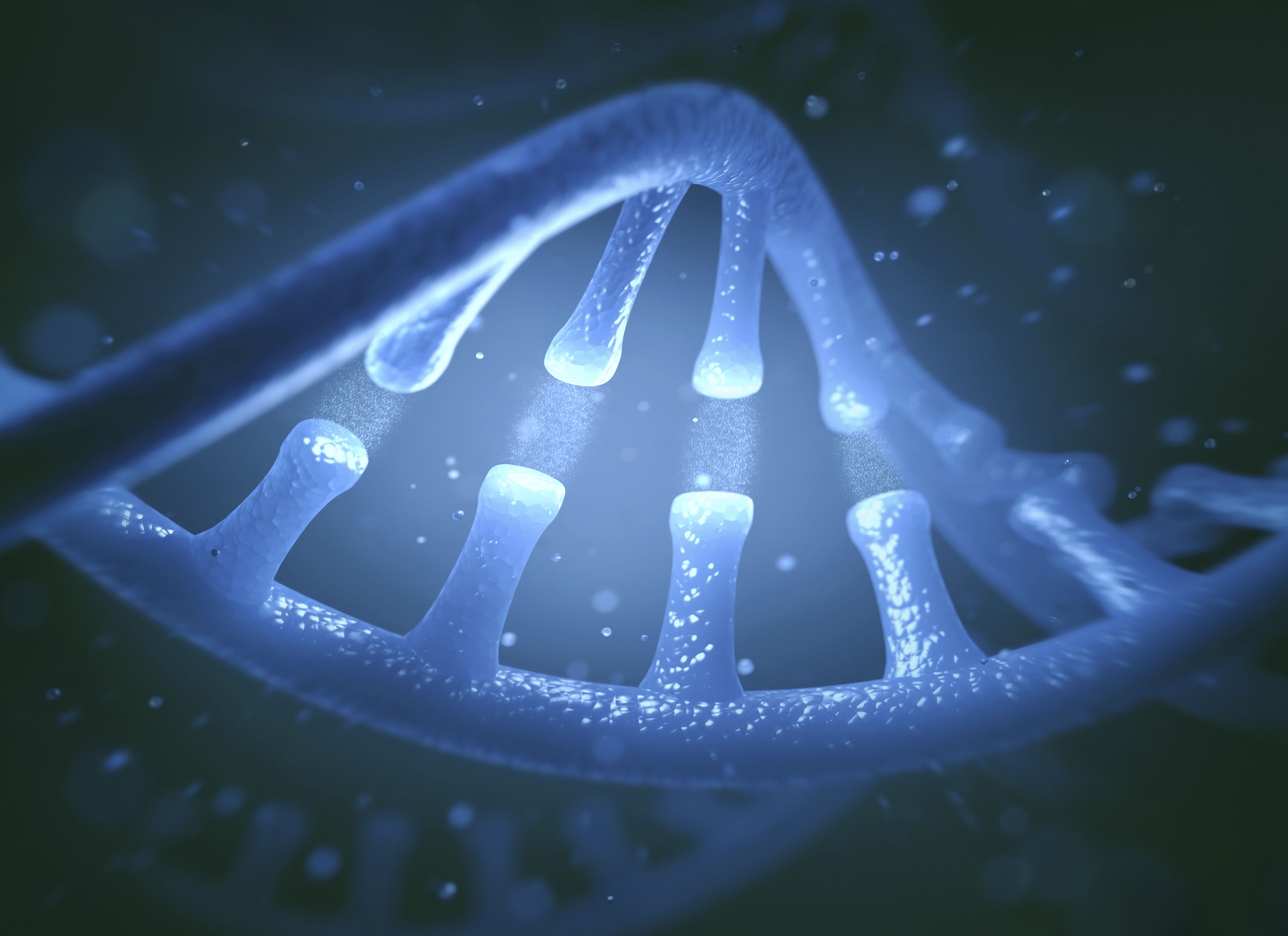 Nucleic Acids Structure And Function