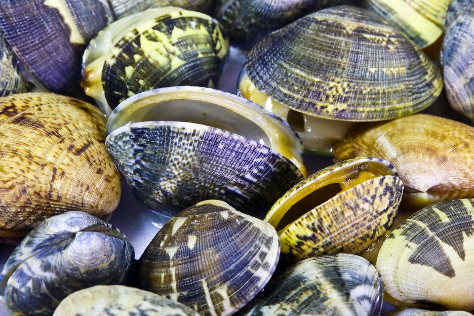 How to Cook With Manila Clams