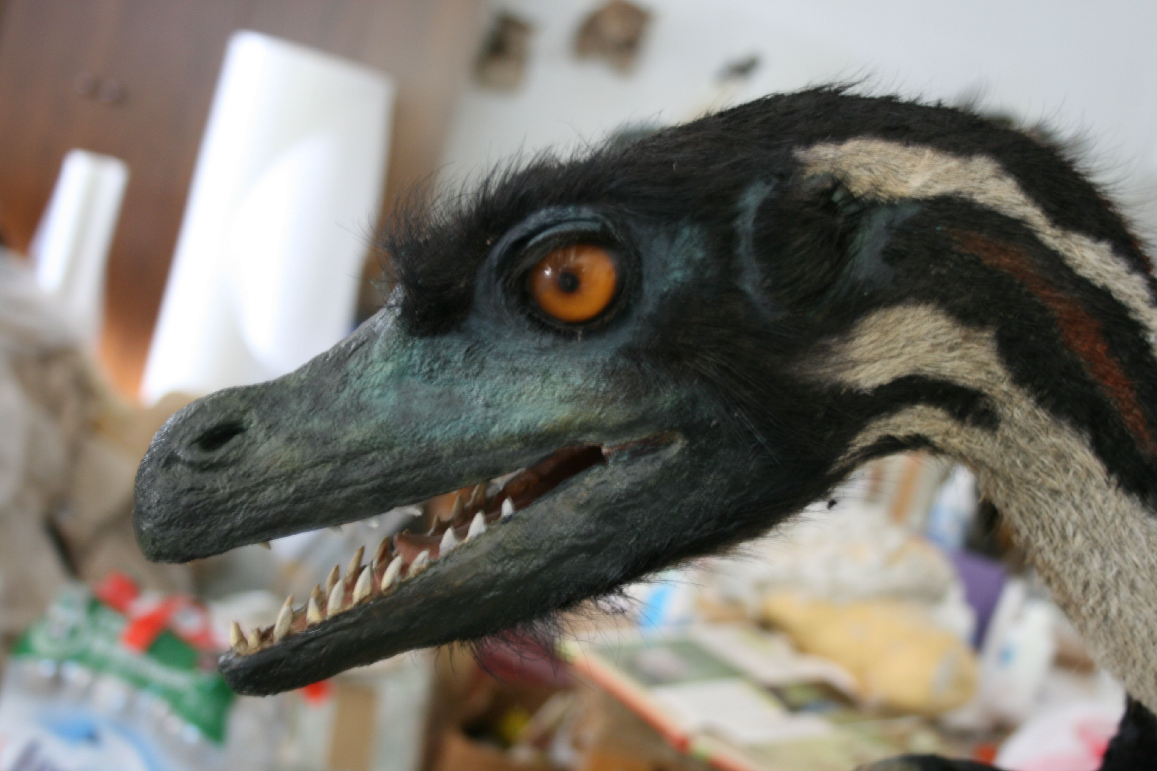 10 Facts About Velociraptors