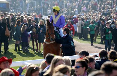 farrier bloodstock racehorse jockey