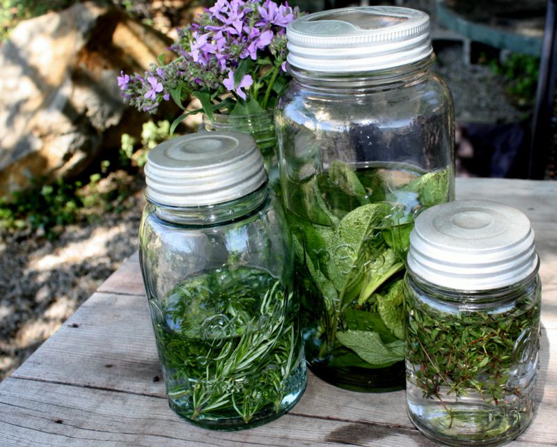 Learn How To Make Herb Infused Vodka