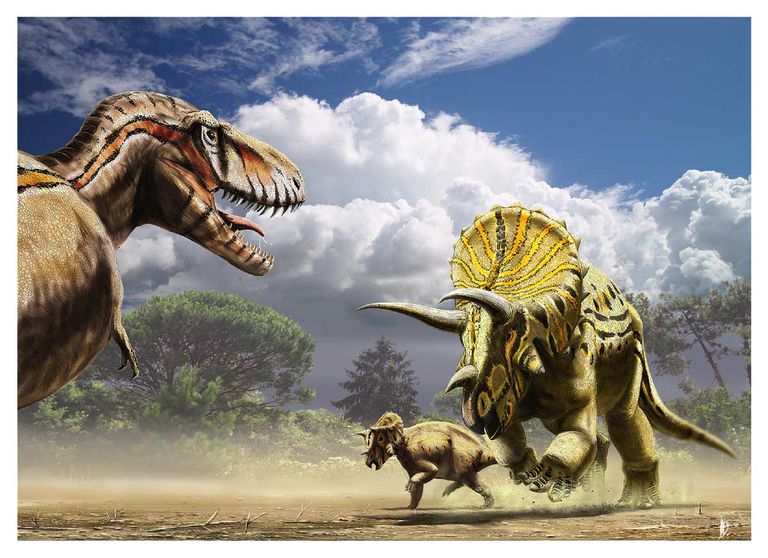 T. rex and triceratops