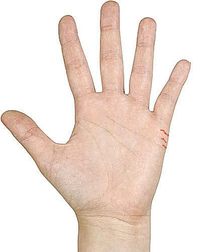 Palmistry Basics - Exploring Lines On Your Palm