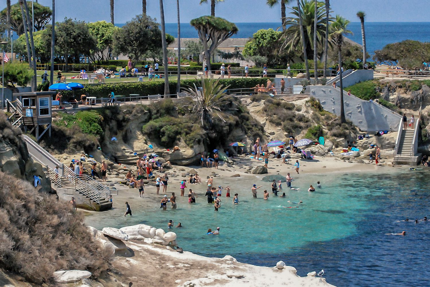 Things to Do in La Jolla for a Day or a Weekend