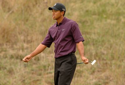 Tiger Woods Biography and Golfing Stats