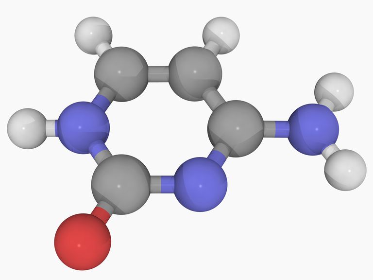 nucleotides-and-bases-genetics-generation