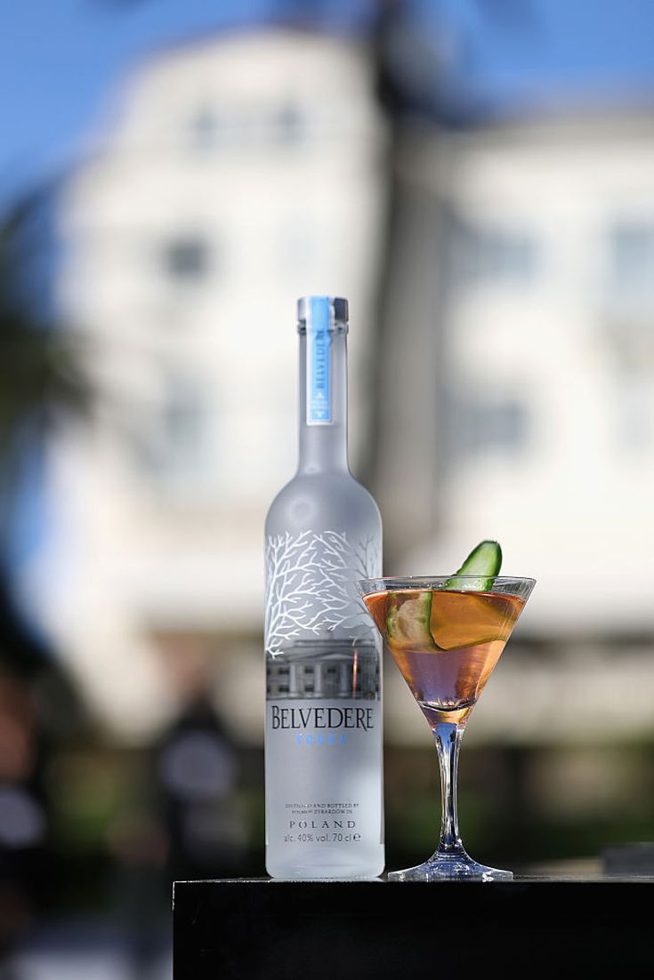 A Guide to Popular Vodka Brands by Price