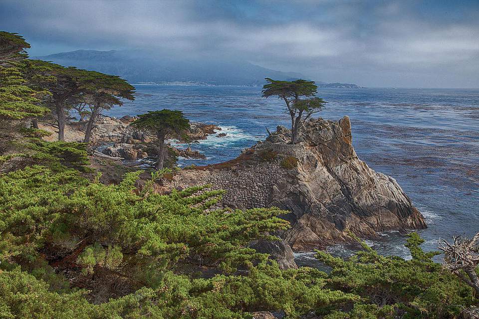 11 Things to Do in Carmel California That You Will Love