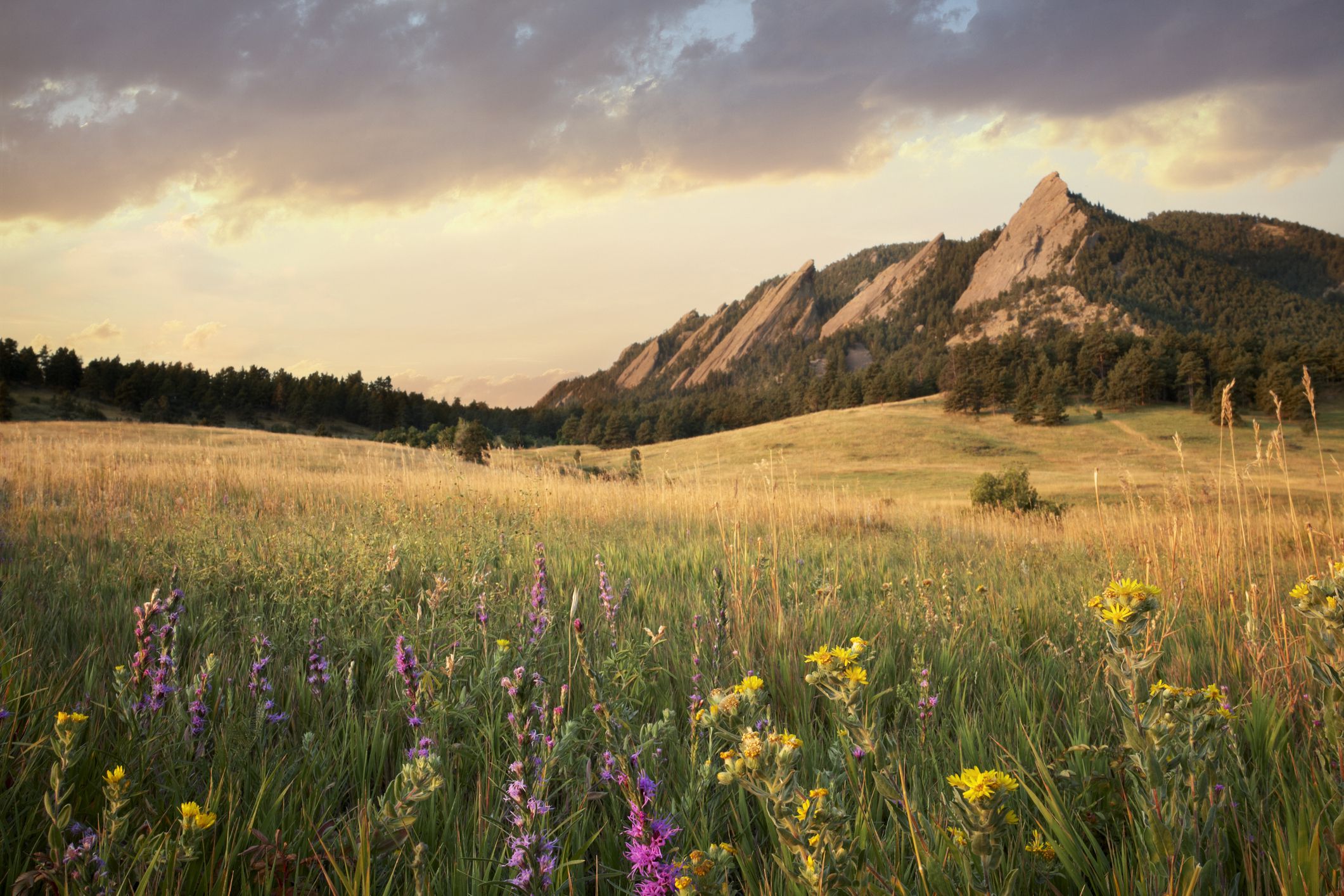 6 Best Things to Do in Boulder, Colorado