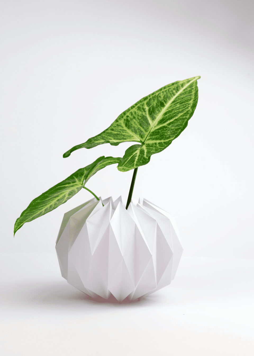DIY Origami Plant Pot Covers