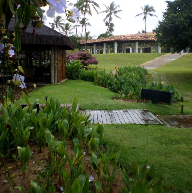 Praia Do Forte One Of Brazil S Most Attractive Beaches