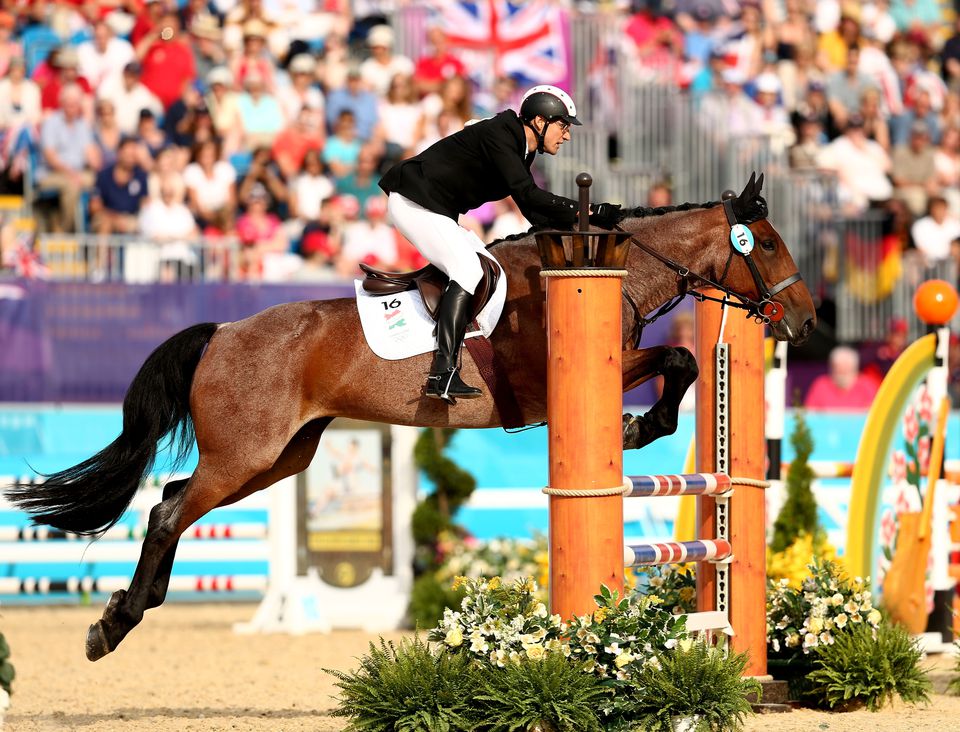 Horses - Olympic Equestrian Sports Facts