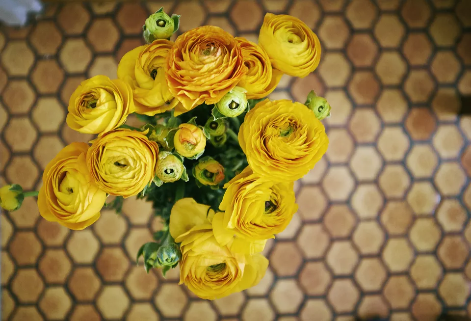 Overhead view of a bunch of yellow roses against honeycomb linoleum floor