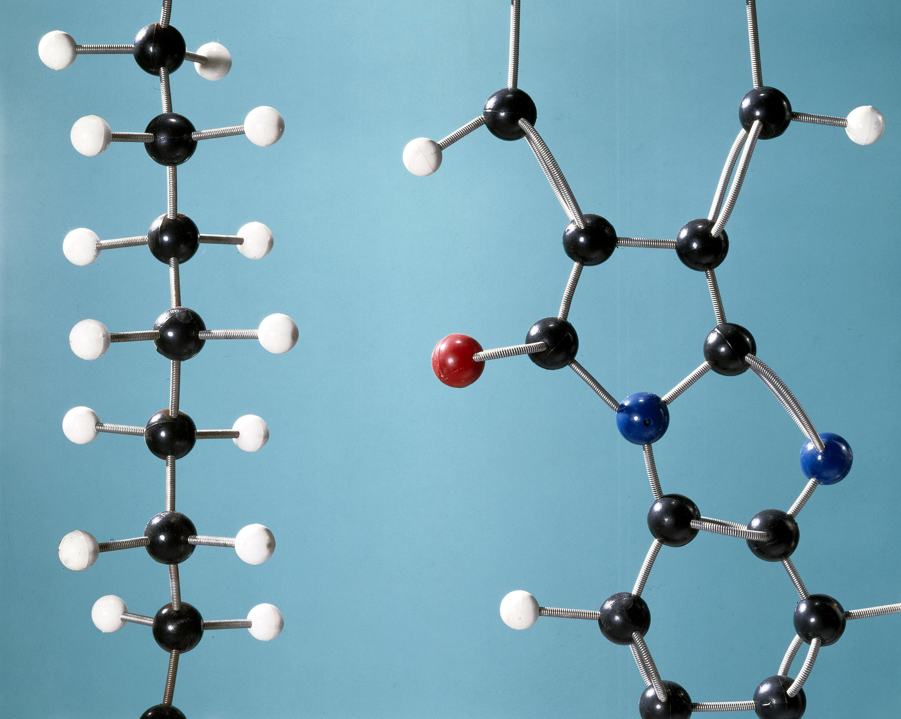 Monomers And Polymers An Introduction