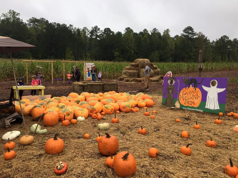 A Guide to the Top Pumpkin Patches Near Atlanta