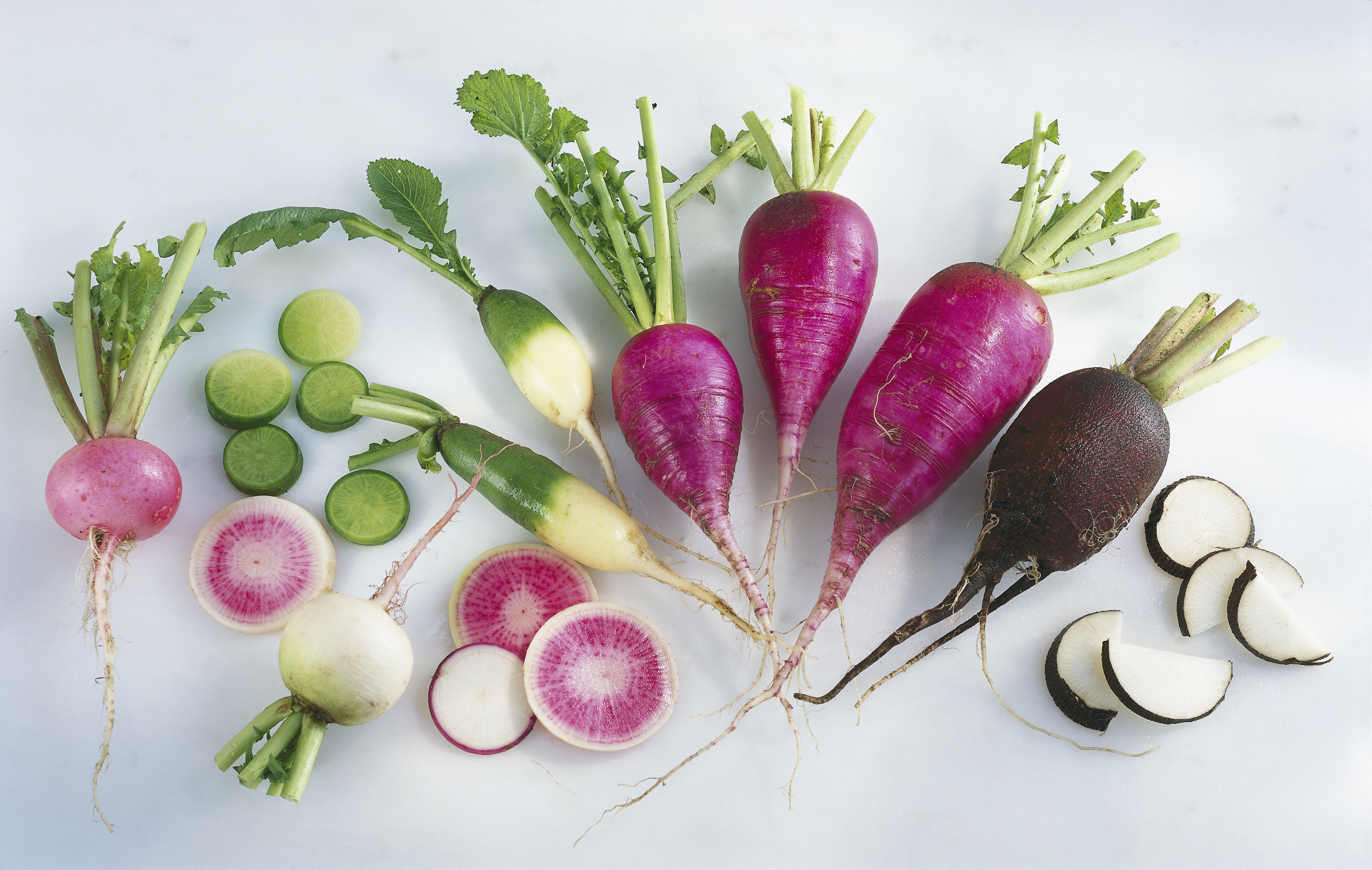 Types of Radishes, From Tiny to Giant