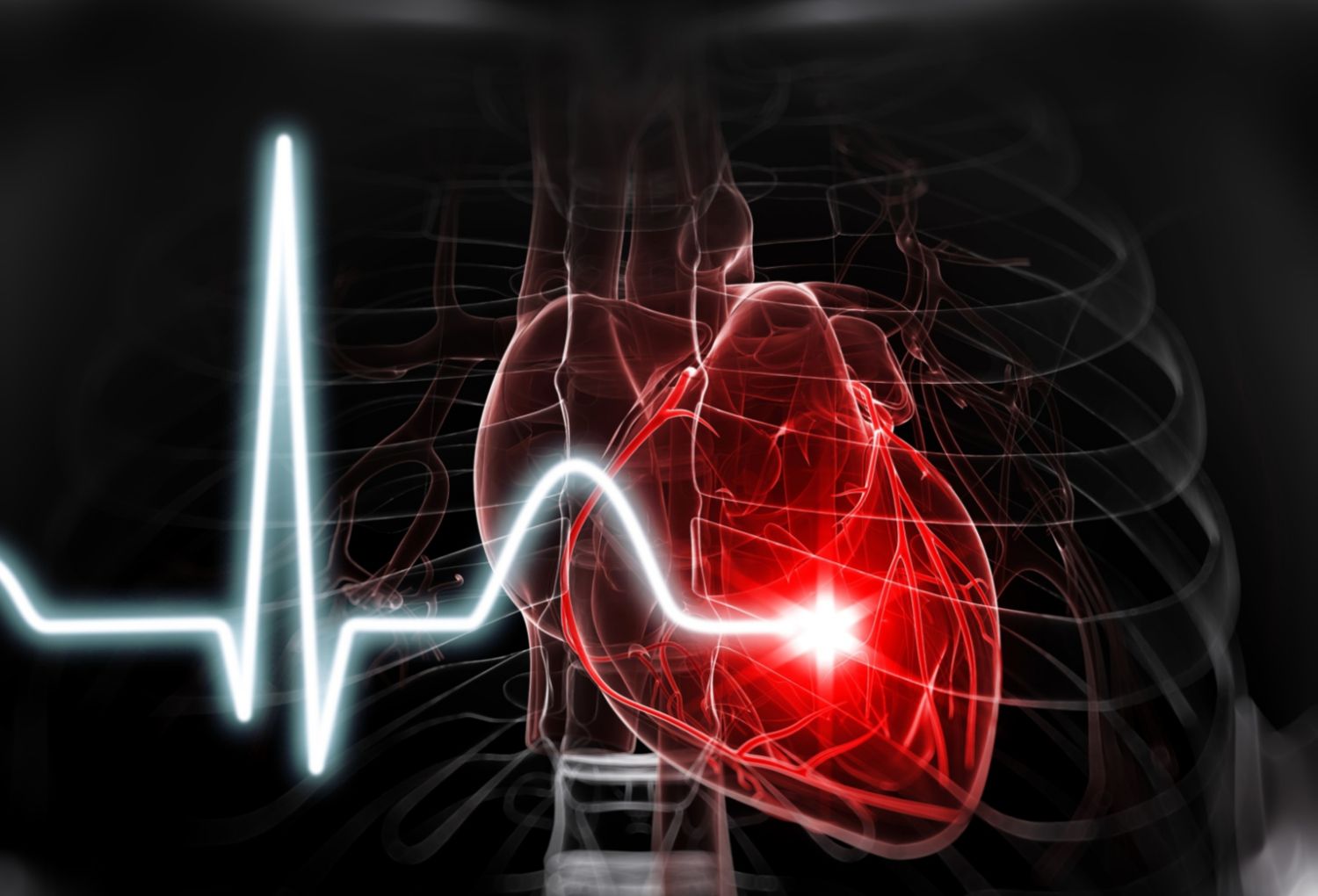 10 Fascinating Facts About Your Heart