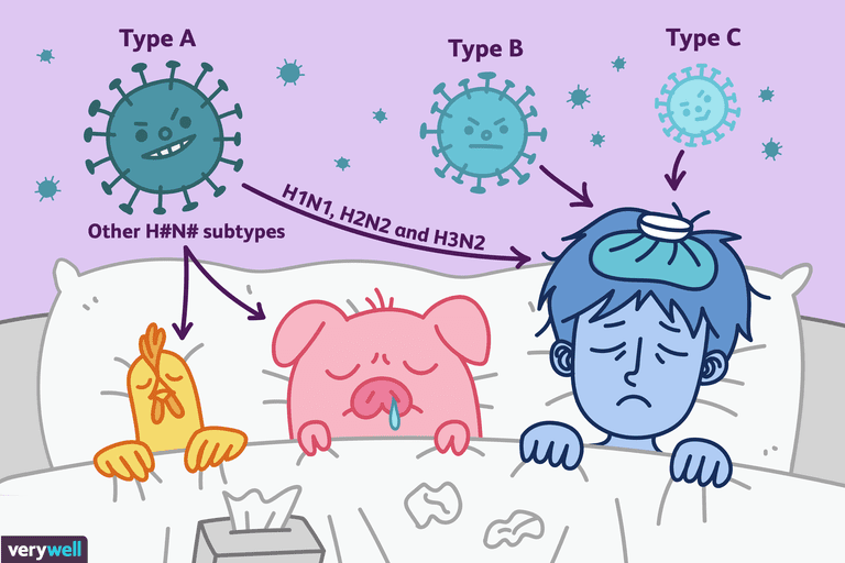 Hasil gambar untuk Influenza