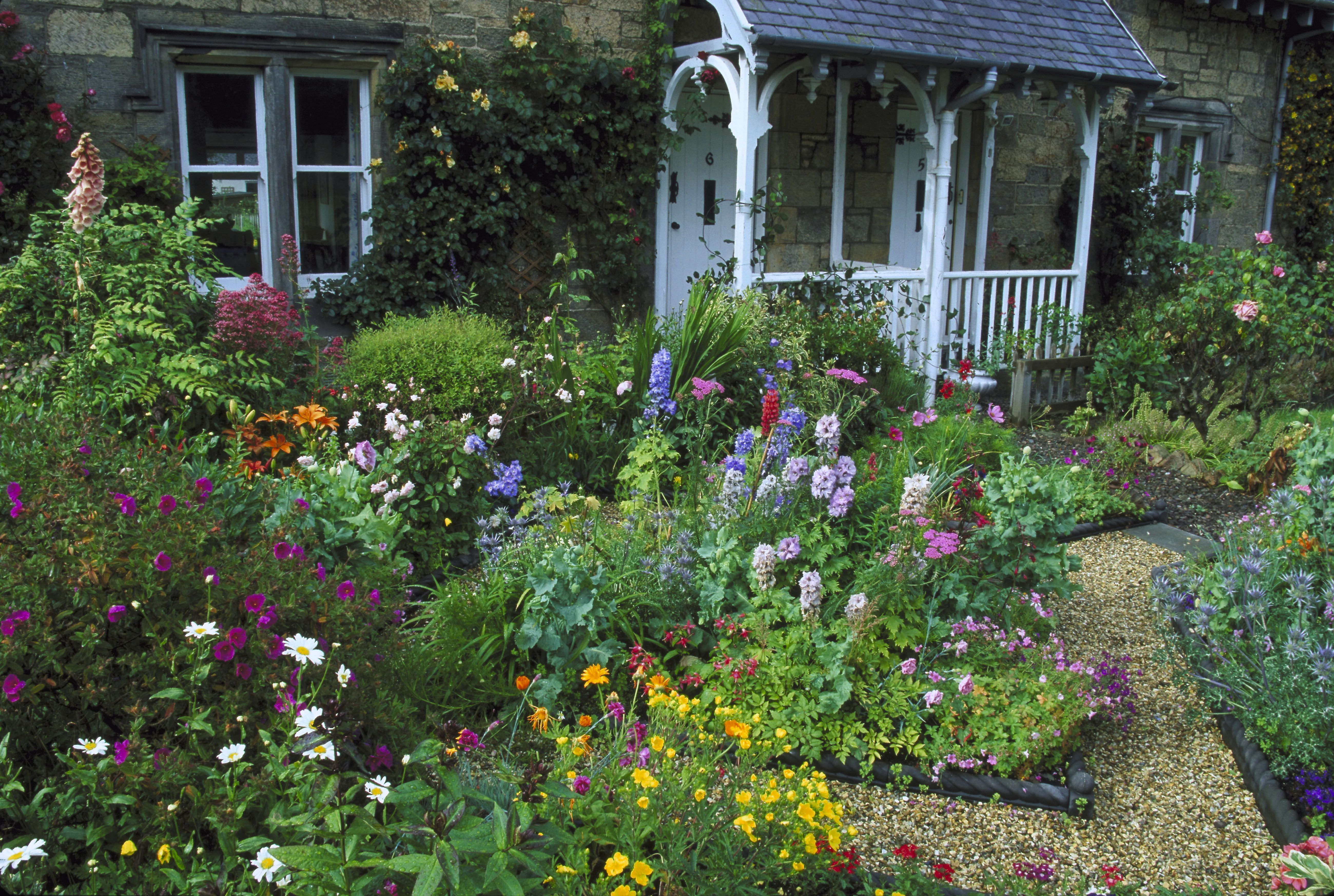 Front Yard Landscaping