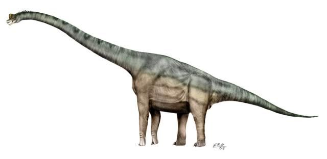 dinosaur name with long neck